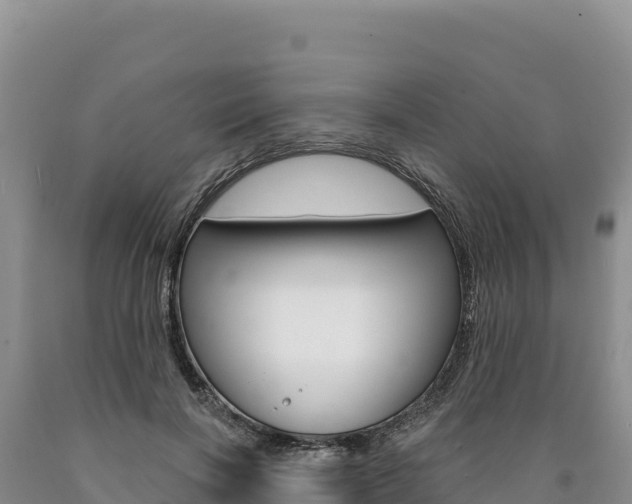 X0000090890646200707271039
