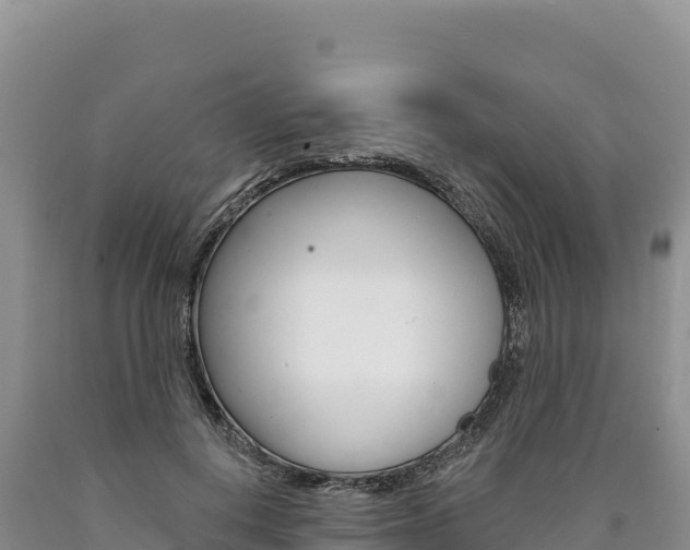 X0000090890648200707271039
