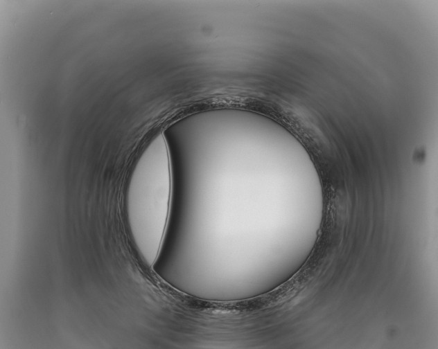 X0000090890649200707271039