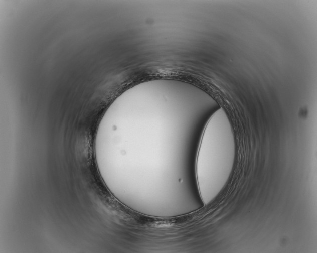 X0000090890651200707271039