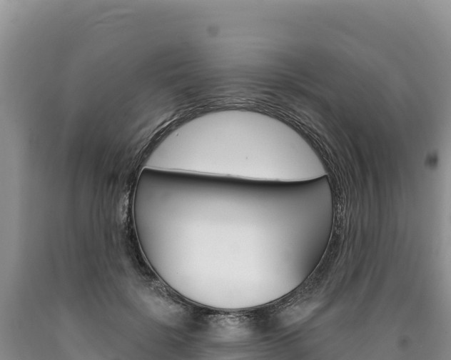 X0000090890652200707271039