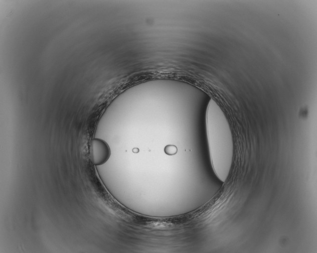 X0000090890654200707271039