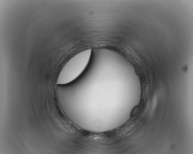 X0000090890655200707271039