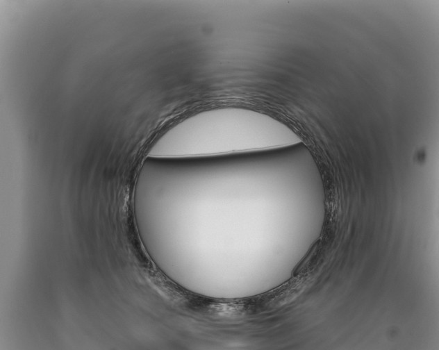 X0000090890660200707271039