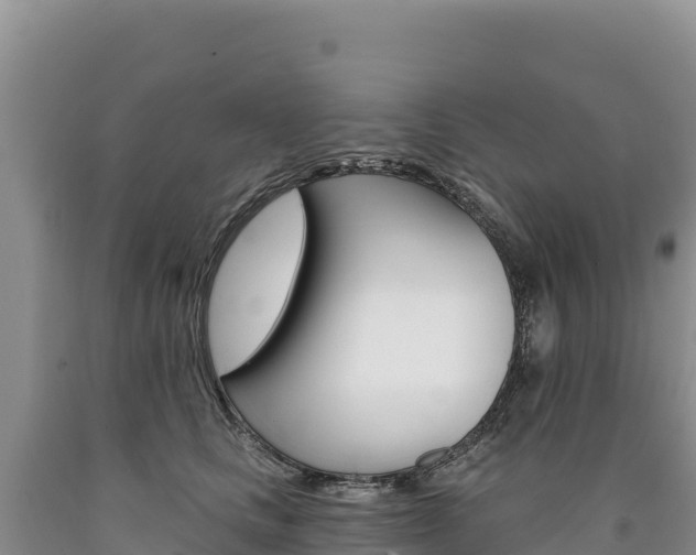 X0000090890661200707271039