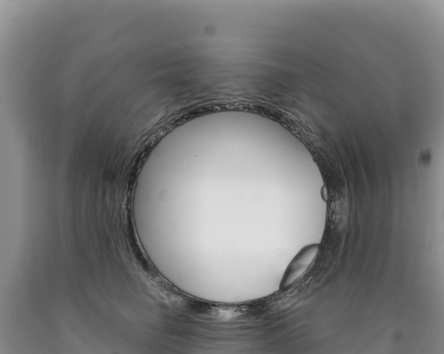 X0000090890662200707271039