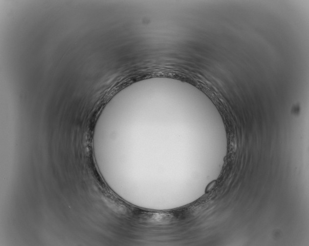 X0000090890663200707271039