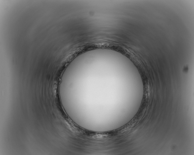 X0000090890664200707271039