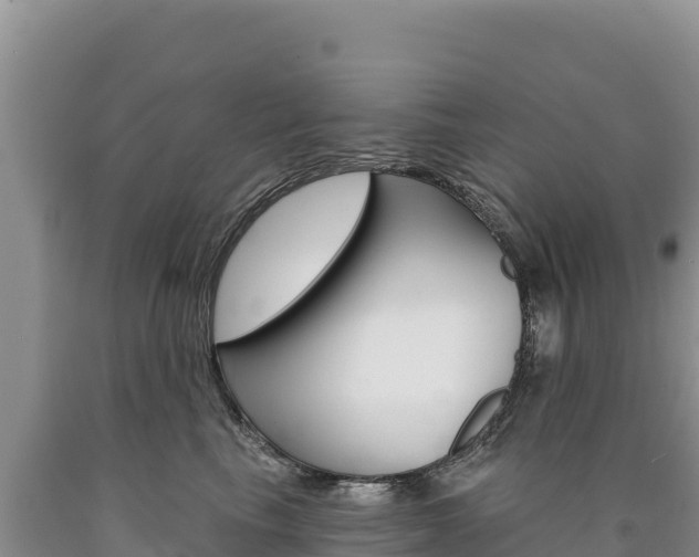 X0000090890665200707271039