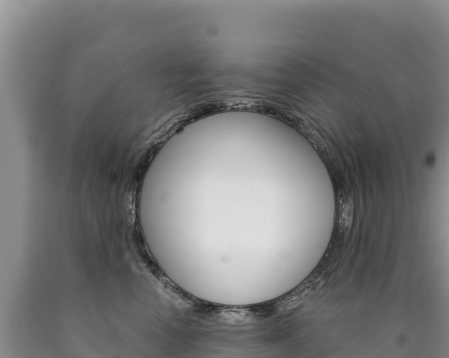 X0000090890666200707271039
