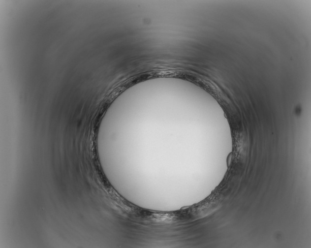 X0000090890667200707271039