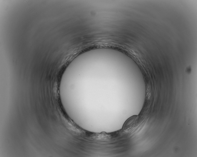 X0000090890670200707271039