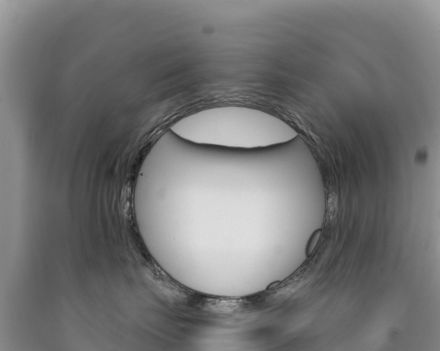 X0000090890671200707271039