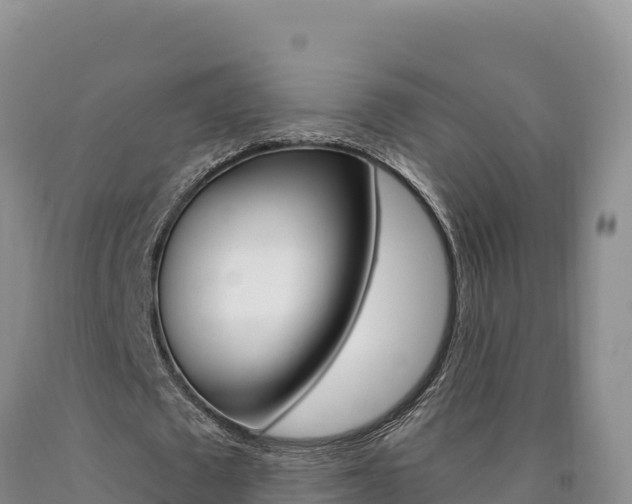 X0000090890673200707271039