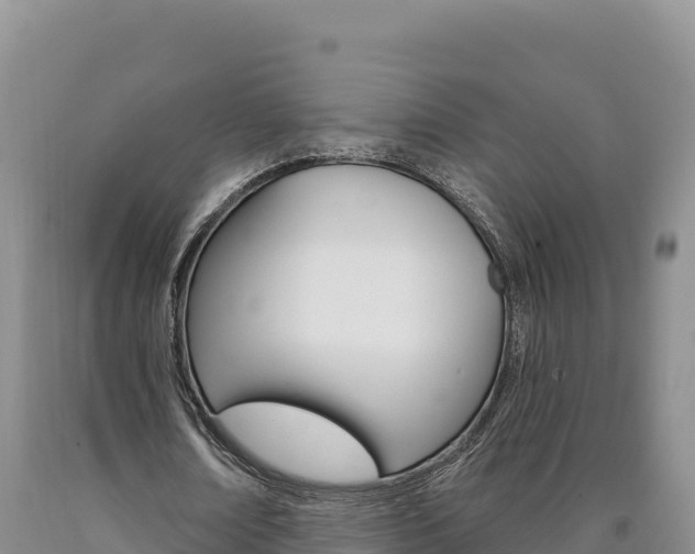 X0000090890674200707271039