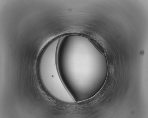 X0000090890676200707271039