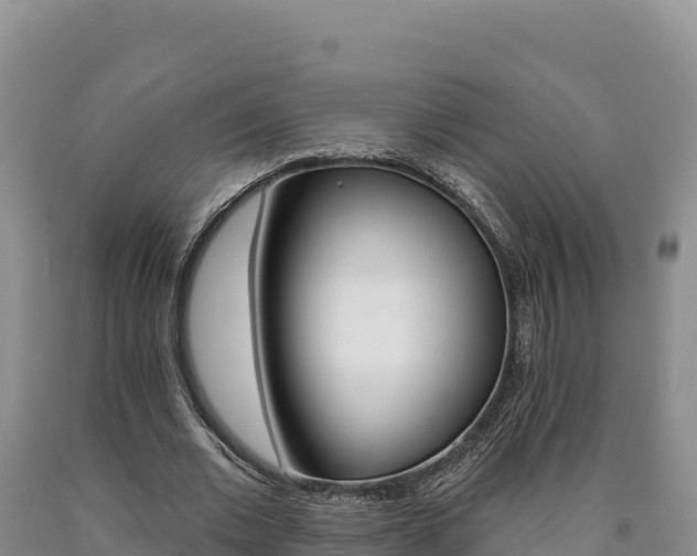 X0000090890677200707271039