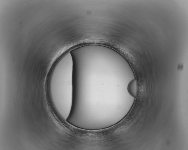 X0000090890678200707271039