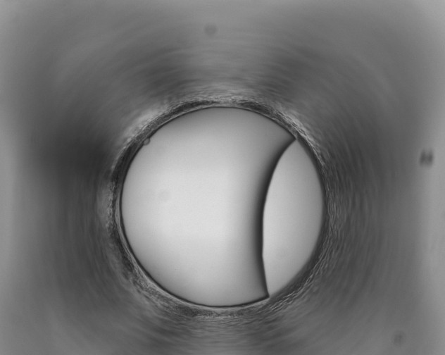 X0000090890679200707271039