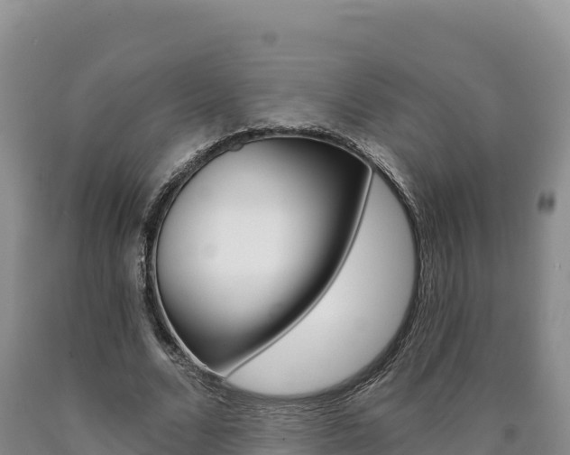 X0000090890680200707271039