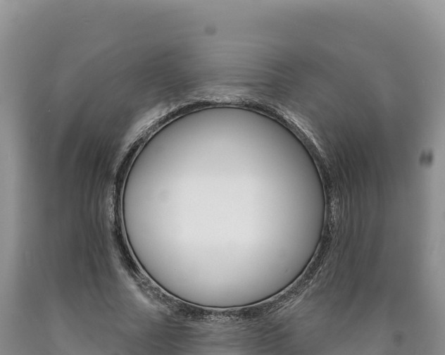 X0000090890682200707271039