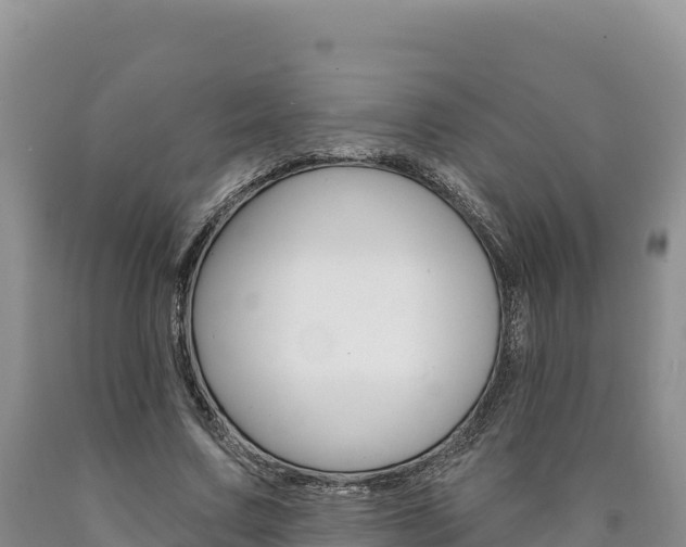 X0000090890683200707271039