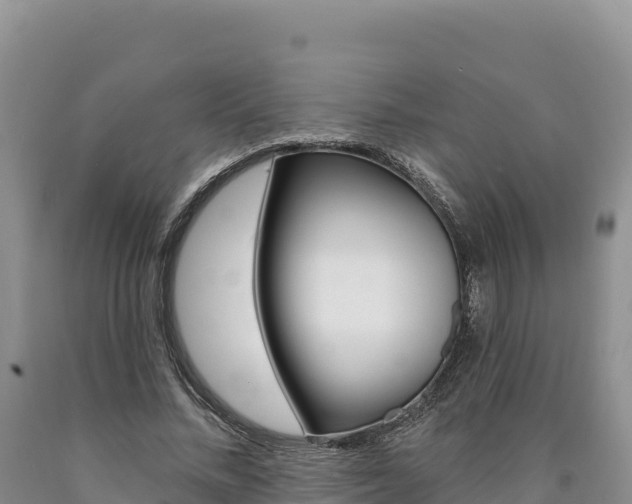 X0000090890684200707271039