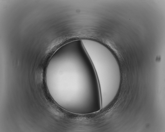 X0000090890685200707271039