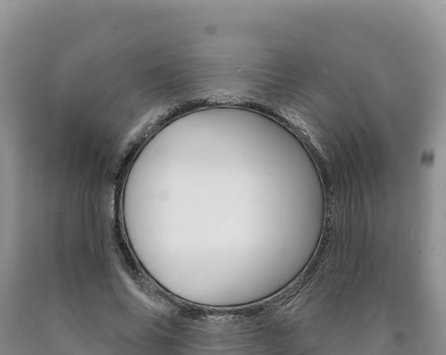 X0000090890686200707271039