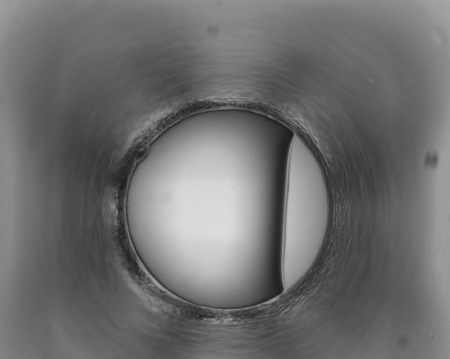 X0000090890688200707271039