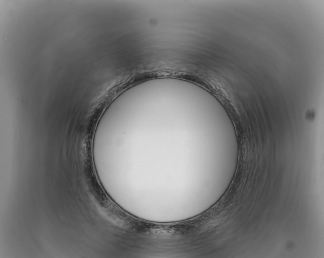 X0000090890690200707271039