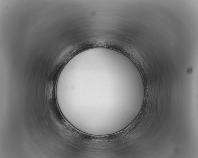 X0000090890694200707271039