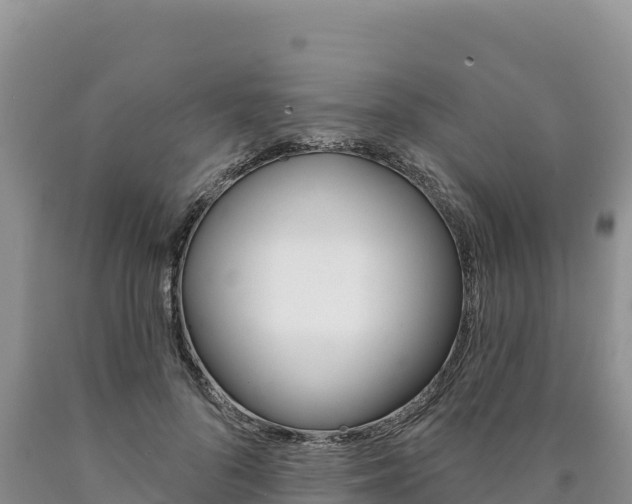 X0000090890696200707271039