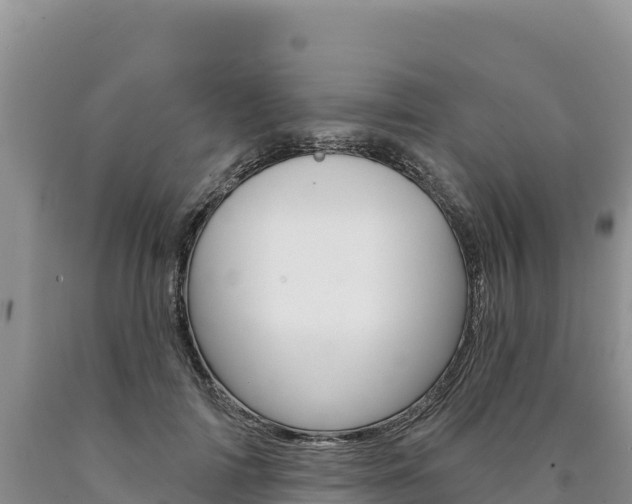 X0000090890698200707271039