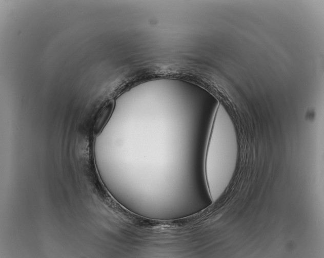 X0000090890700200707271039
