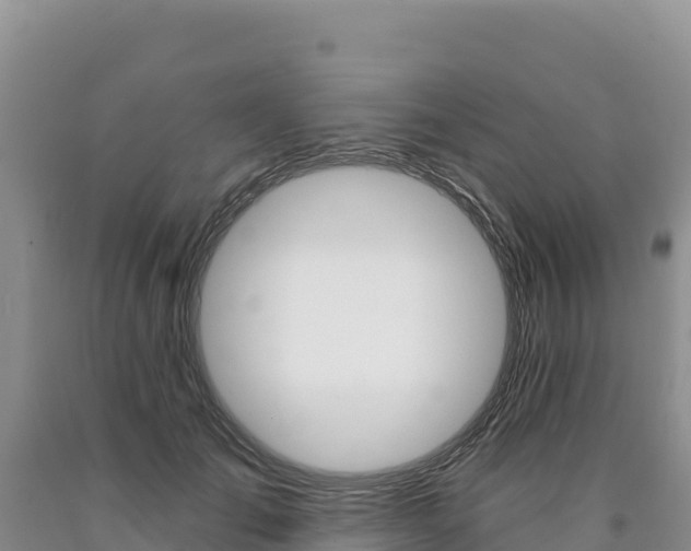 X0000090890701200707271038