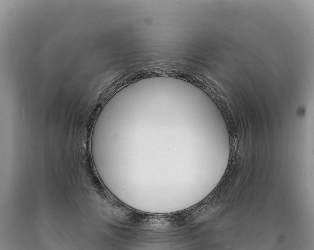 X0000090890702200707271038