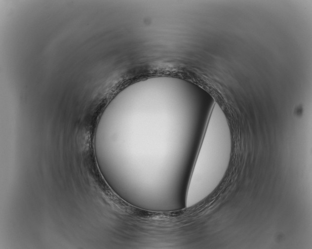 X0000090890708200707271038