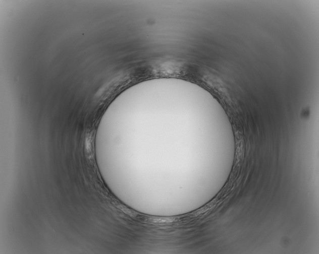 X0000090890709200707271038