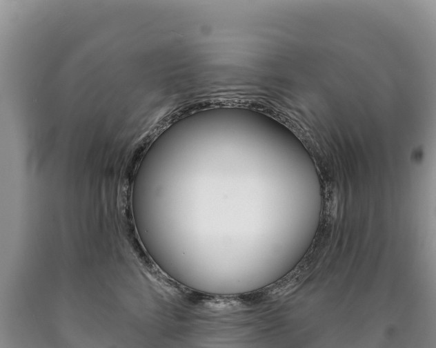 X0000090890712200707271038