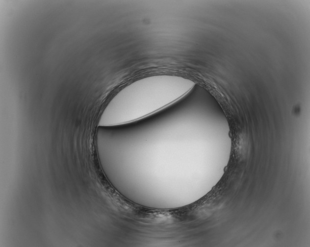 X0000090890715200707271038