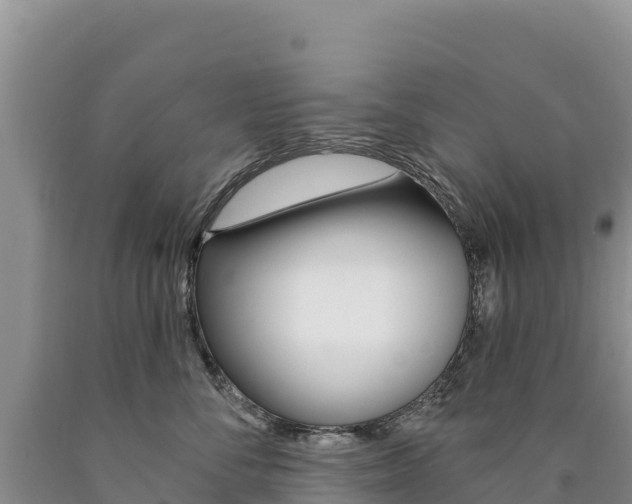 X0000090890716200707271038