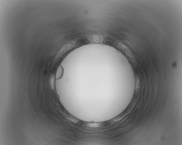 X0000090890717200707271038