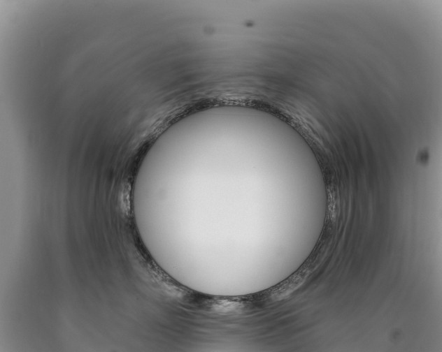 X0000090890718200707271038