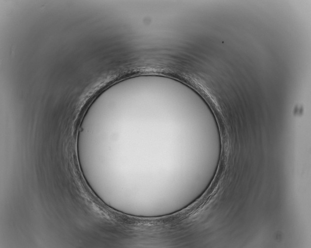 X0000090890721200707271038