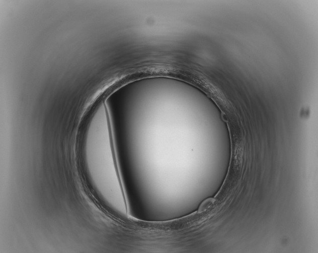 X0000090890722200707271038