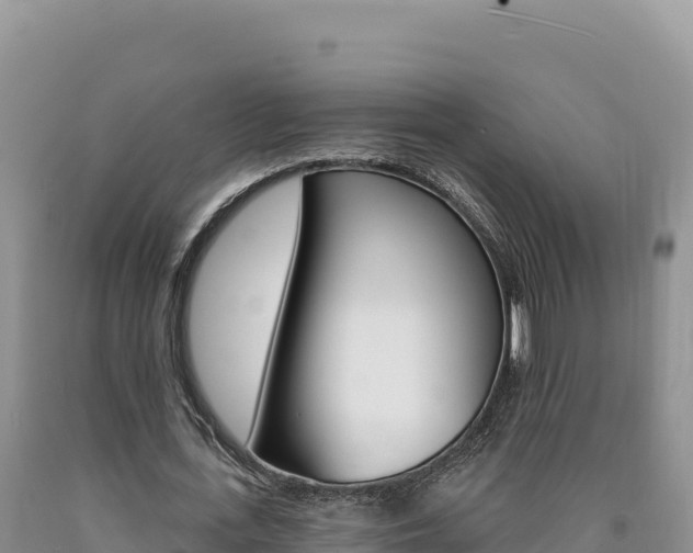 X0000090890723200707271038