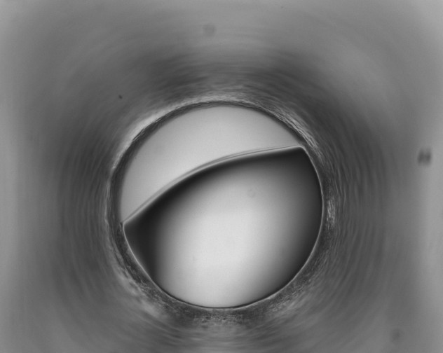 X0000090890724200707271038
