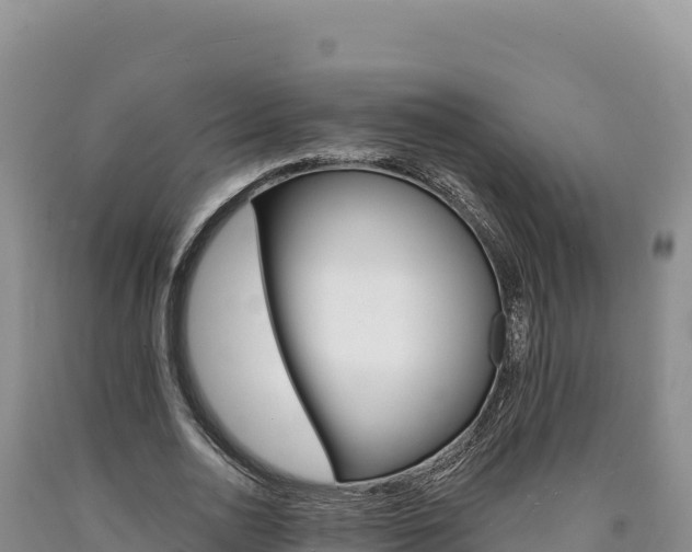 X0000090890726200707271038