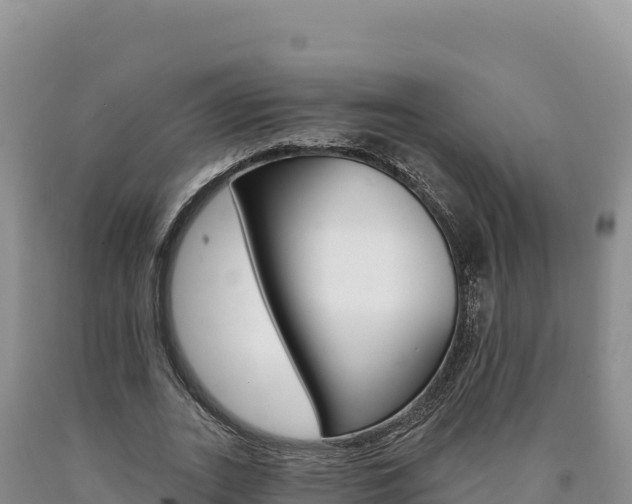X0000090890727200707271038